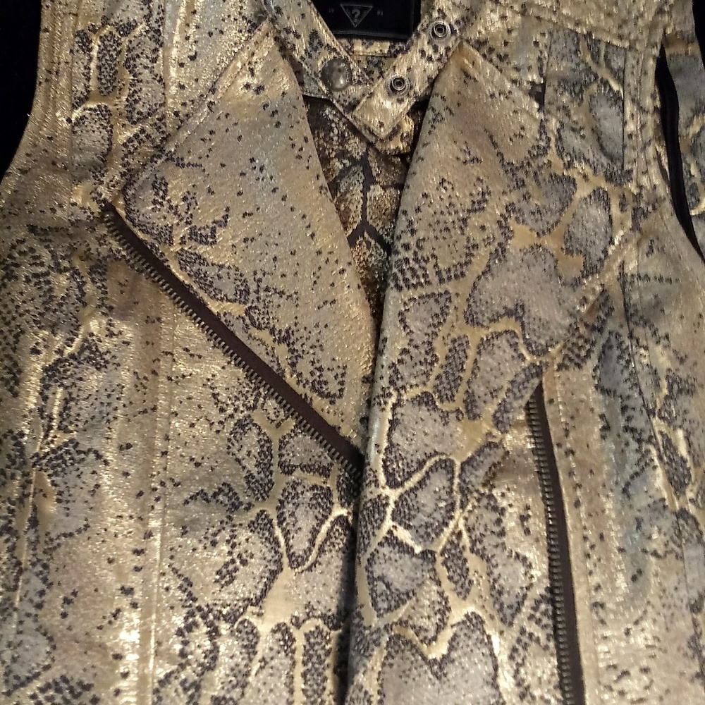 Vest